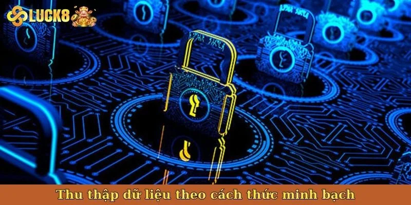 thu-thap-du-lieu-theo-cach-thuc-minh-bach